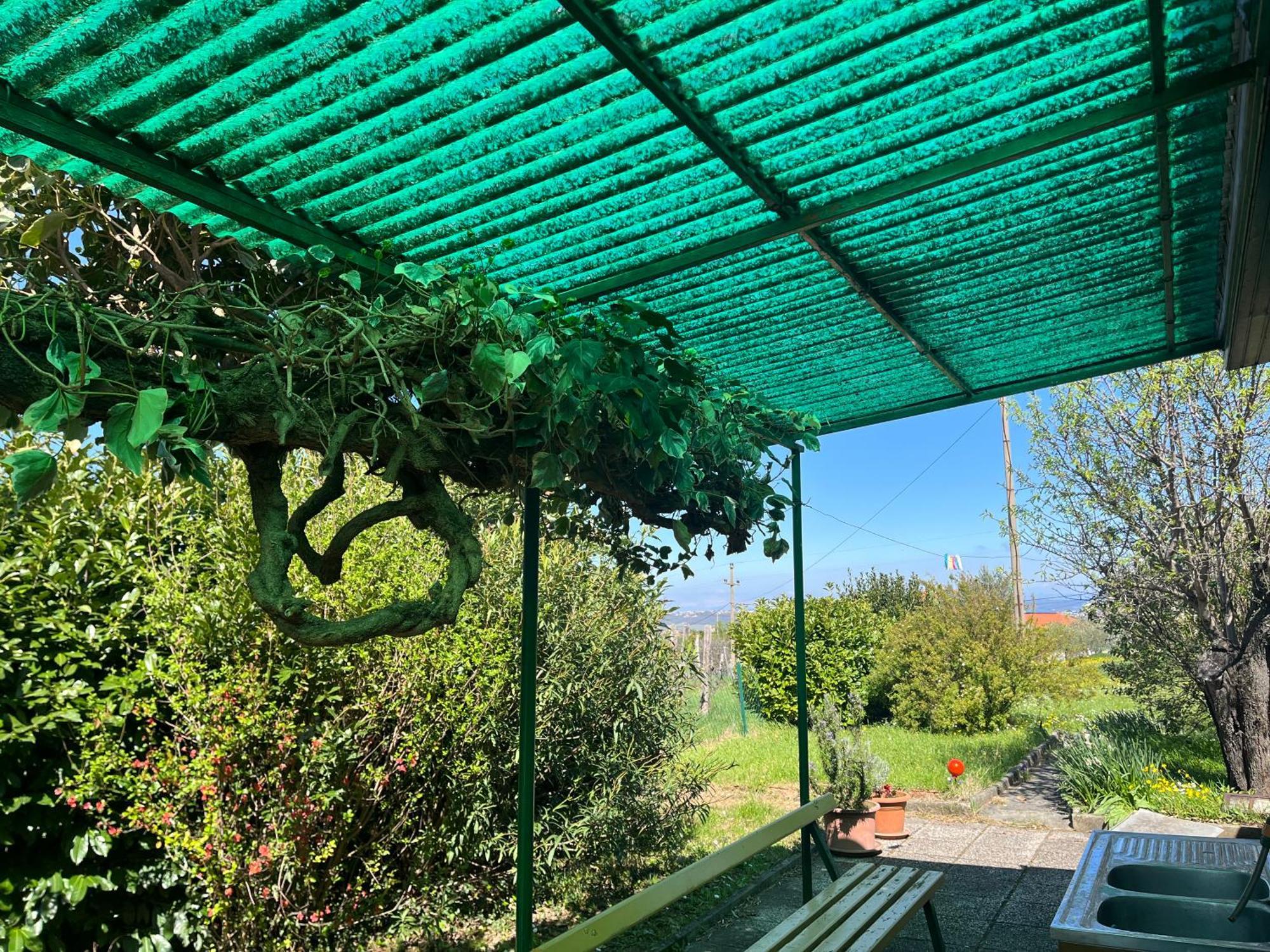 Apartma Korelc Koper Exteriér fotografie