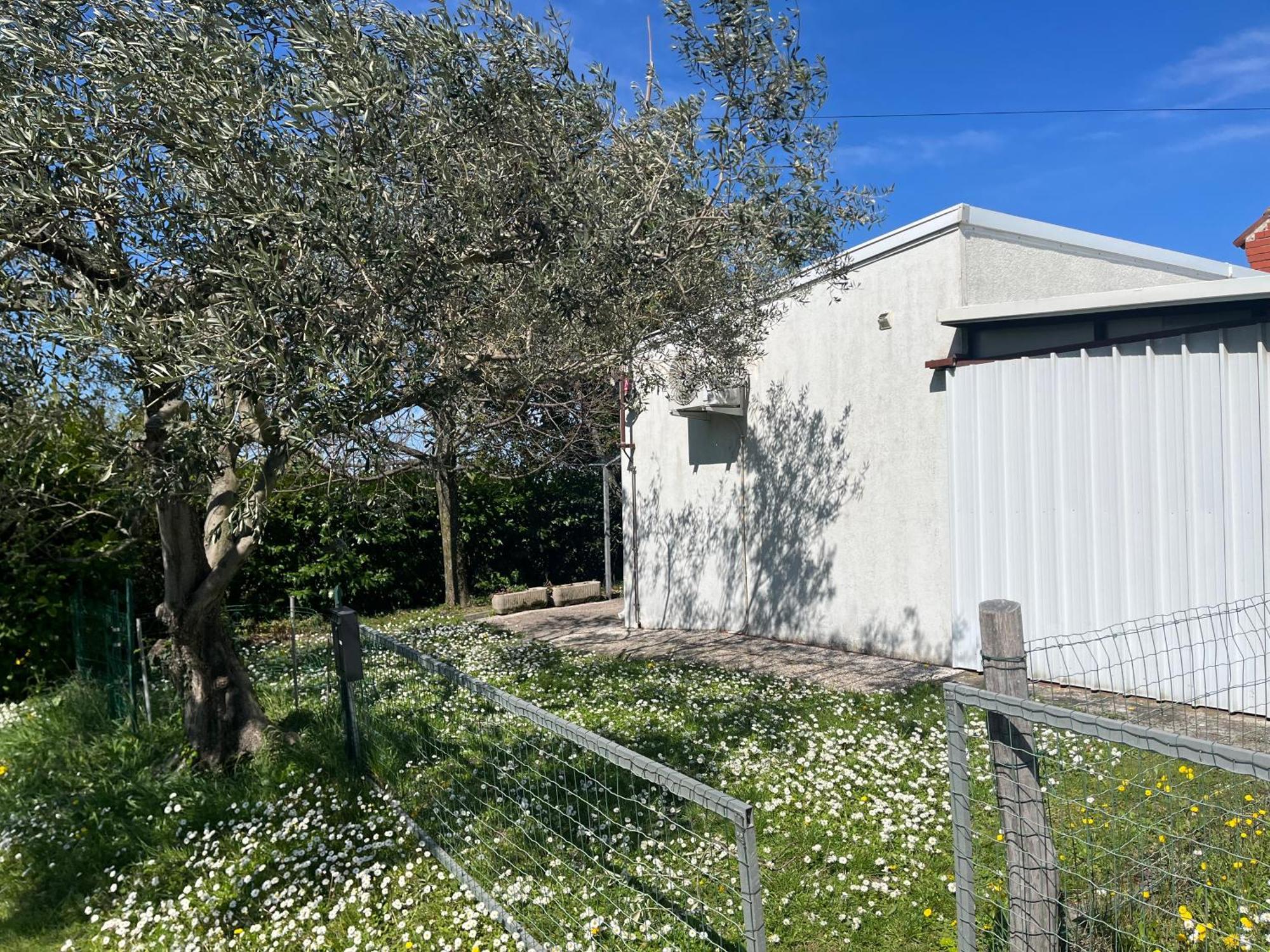Apartma Korelc Koper Exteriér fotografie